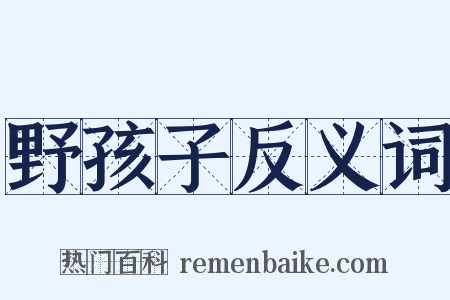 野孩子反义词是什么意思的图片